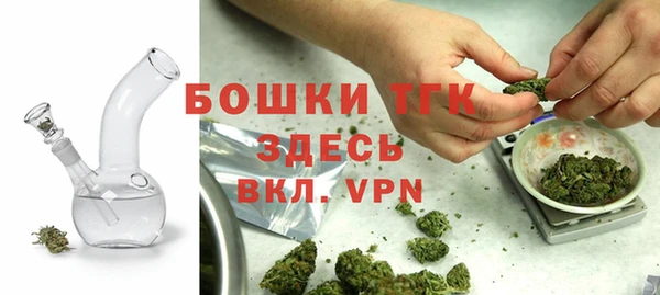 спиды Аркадак