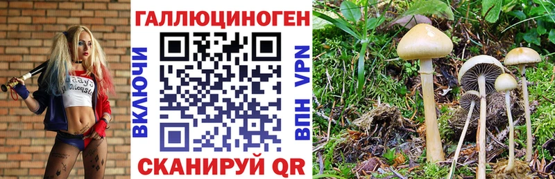 Галлюциногенные грибы GOLDEN TEACHER  Семилуки 